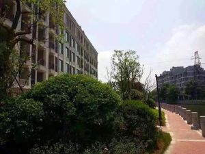 大地藏元时代 精装修 总价便宜 急卖
