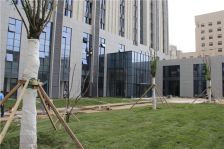 凯旋银河线1室1厅北