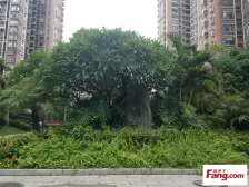 新世纪星城美寓 1室1厅 东南