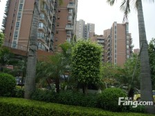 新世纪星城1房 精装修 业主诚心出售 看房方便