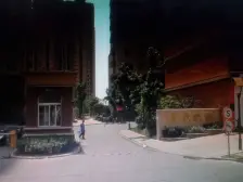 【绿波家园】| 上海市浦东新区三旋路506弄9号2002室