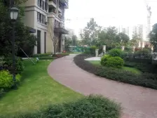 临广稀有单边位别墅 全新未住 有地下室 60平大花园