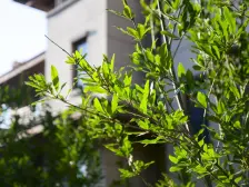 长清湖瑜园别墅,叠拼带院子,精装修,有楼台