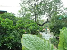 满五不唯一,无按揭,过户过,全新未入住,户型方正