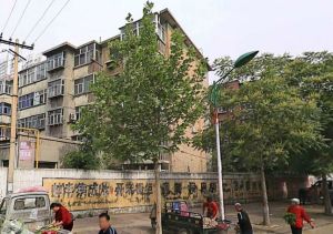 八中宿舍 2室1厅 南