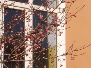阳光丽景旁精装两房拎包入住即可