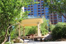 小区环境优美绿化好依山傍水鸟语花香天然人公湖