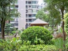 北尚C区,大四房精装修,采光不受影响!