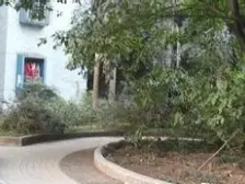 松林村社区 2室2厅 东南