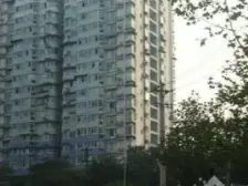 环境安静,邻里友好,绿树成荫,正规两室 采光充足