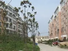 鱼嘴 瑞祥家园三房58万
