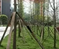 业主诚心出售,小区环境好,采光好