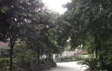 石井坡 石井坡二房40万