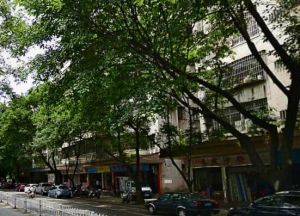 堤东路3室1厅南北