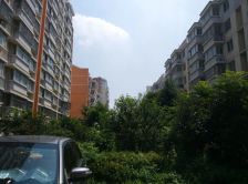 旺旺家园楼层好 采光好 通透 价位适中.... 没有占用