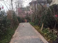 蔡家 首钢美利花都五房230万