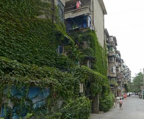东风路北二巷4号2室1厅南