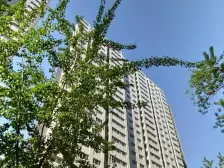 81南北向小三居,出行方便,采光视野好