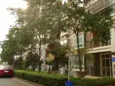 鑫晶花园