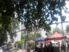 多层二楼,双阳台两卧朝南,采光无限好,近农业路