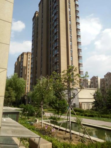 伟东乐客国际公寓2室1厅1卫南北朝向1800.00元/月出租