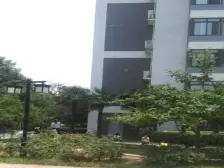 鑫苑国际城市花园 朝南标间 电梯双气 全明户型