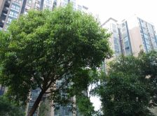 海基悦城国际 4室2厅 北 南