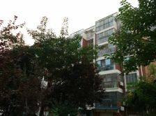 天景美地 3室2厅 南 北