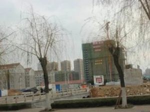 舒馨家苑2室1厅南