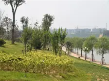 天悦湾7号院好楼层 东门口 3室