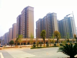纯板楼金湘苑单位房中高楼层视野好采光佳。