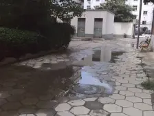 城北路体育家属院 标准双气一室 采光好 近六中