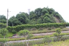 启航闽江1号 4室3厅 东南 西南