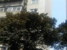 通透三房 妇幼医院边 视野开阔 3地铁口