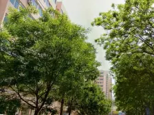 公园跟前三室两厅南北通透,户型方正!