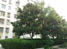 户型好:实用,朝南朝向,采光好。得房率高:格局合理