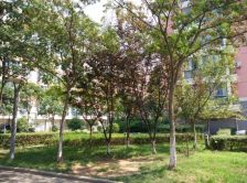 颐和花园大平层 买一层得一层 实用空间大