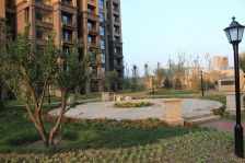 翡丽湾4-2-1-2 145平米95 万