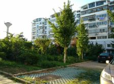 常乐新村两室一厅六楼带车库采光好。