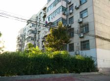 常乐新村E区 3室1厅 南