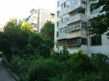 常乐新村 E区 两室一厅 看房随时联系