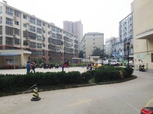 新都汇丹尼斯步梯一楼南北通透三室