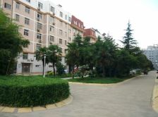 小区环境优美园林式景观小区绿化覆盖率高