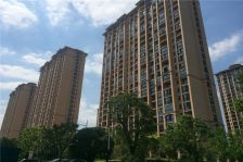 近地铁产权清晰,电梯房现场实勘新上房源