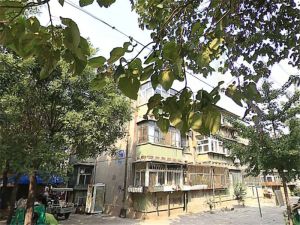 税钢 税东 老本 一室一厅 全天采光 位置好