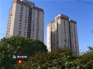 临龙泽路主干道,路北XX,老本不唯一,没用过