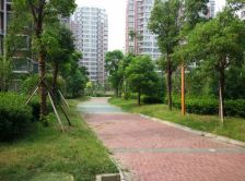 通透性好格局好,楼层好,视野开阔,采光好