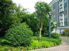 中央华府(海州) 2室2厅 南