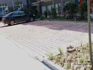 杨家埠阳光幼儿园多层二楼客厅向阳