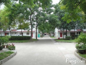 新华路 单位房 三室没公摊 免费停车环境好